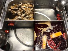 -海底捞火锅(公益西桥店)