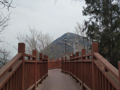 -兰山公园