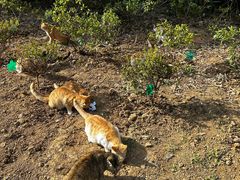 -镇江市南山风景名胜区竹林景区