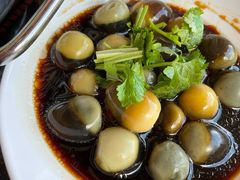 姜汁小皮蛋-蝎王府羊蝎子(天通苑店)