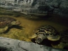 -北海·海洋之窗