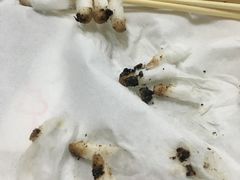 -荣耀金沙动物医院(清江西路店)