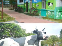 -光明农场大观园