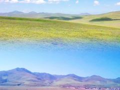 -郭莽湿地