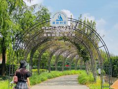 -季高兔窝窝亲子园(上海薰衣草公园店)