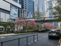 -深圳湾万象城(南山店)