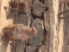 石家庄动物园-石家庄市动物园