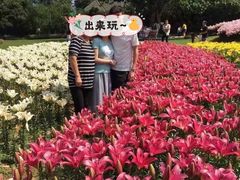 -保利石象湖景区