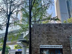 -陆家嘴中心绿地