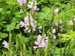 -中国人民解放军空军第九八六医院(北区)