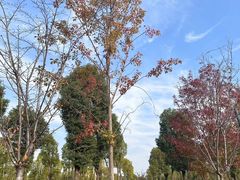 -云幽谷旅游区