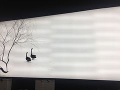-BLACKSWAN黑天鹅(环球店)