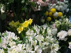 -知物癖(牛王庙店)