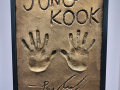 -line friends(明洞旗舰店)