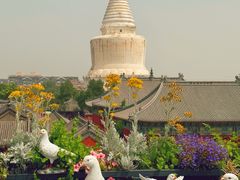 -妙应寺白塔