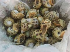 盐焗花螺-蚝得喜海鲜(东城店)