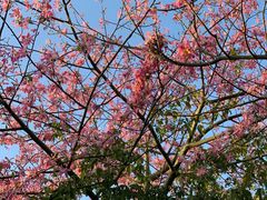 -中国移动南方基地