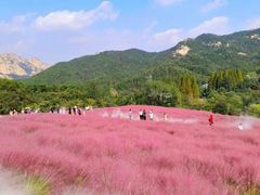 -万盛合(渔人码头店)