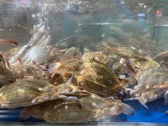 -盒马鲜生(莱蒙都会店)