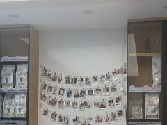 -瑞派康怡24h宠物医院·犬猫医疗中心·微创绝育(瑞景分院)