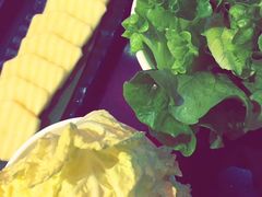 -三太子地摊烧烤·小龙虾(北蔡店)