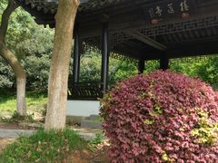 -宝岩生态观光园