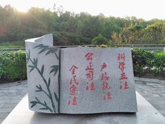 -大亚湾红树林城市湿地公园