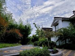 -上海共青森林公园