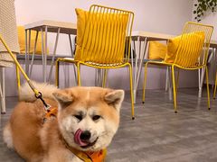 -五进制 Coffee Shop