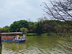 -海珠湖公园