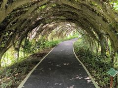 -广西壮族自治区药用植物园