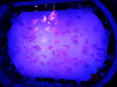 -沈阳海洋探索中心