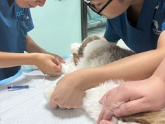 -嘉馨宠物医院·CT影像转诊·心脏科·犬猫全科诊疗中心(下沙大学城院区)