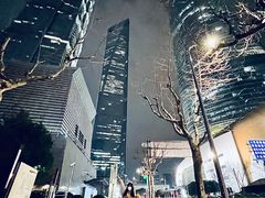 -上海中心大厦