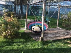 -鄂尔多斯野生动物园