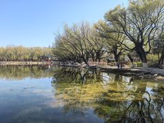 -青城公园