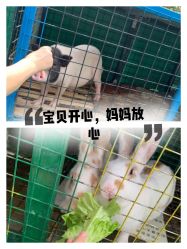 -可可天空农场(中大店)