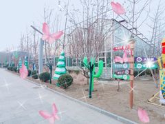 -南宫五洲植物乐园