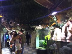 -迪拜水族馆及水下动物园
