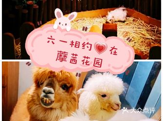 宝宝很喜欢小动物，这个六一去宠物乐园，他一定会很开心