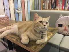-小时光咖啡馆(开森度假森林店)