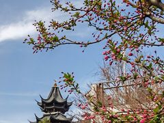 -江宁织造博物馆