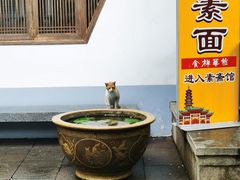 -龙华素斋(龙华路店)