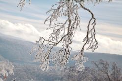-大秃顶子山