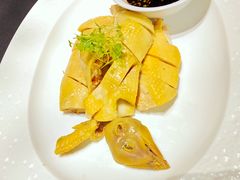 葱油白切鸡-曼格纳·曼芯馆(杨浦店)