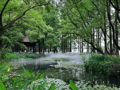 -东湖落雁景区