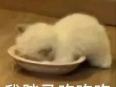 -九州酒场ひこぞう(1号店)