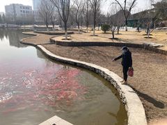 -西海子公园