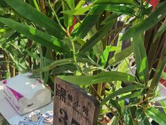 -锦小馆(安贞店)