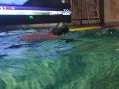 -水晶之星洗浴温泉汗蒸